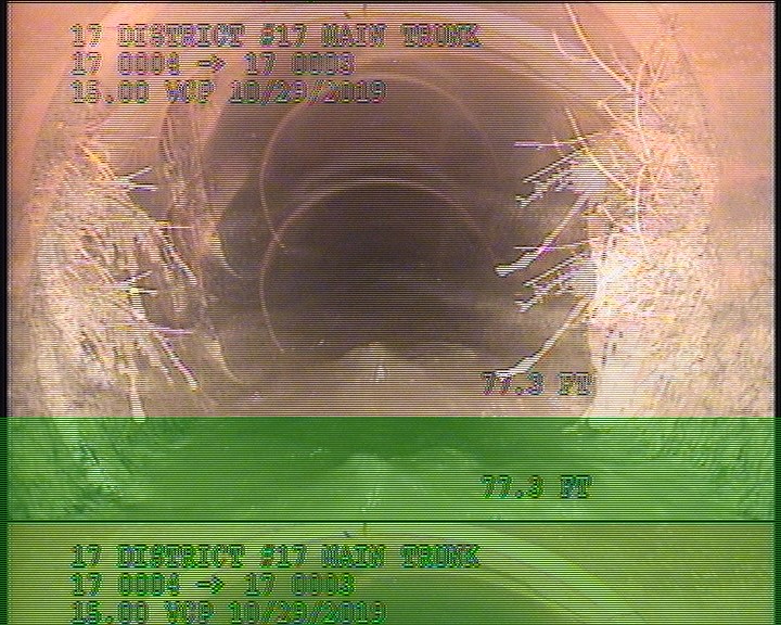 Roots Medium Joint, from 07 to 05 o'clock, 10 %, within 8 inches of joint: YESR