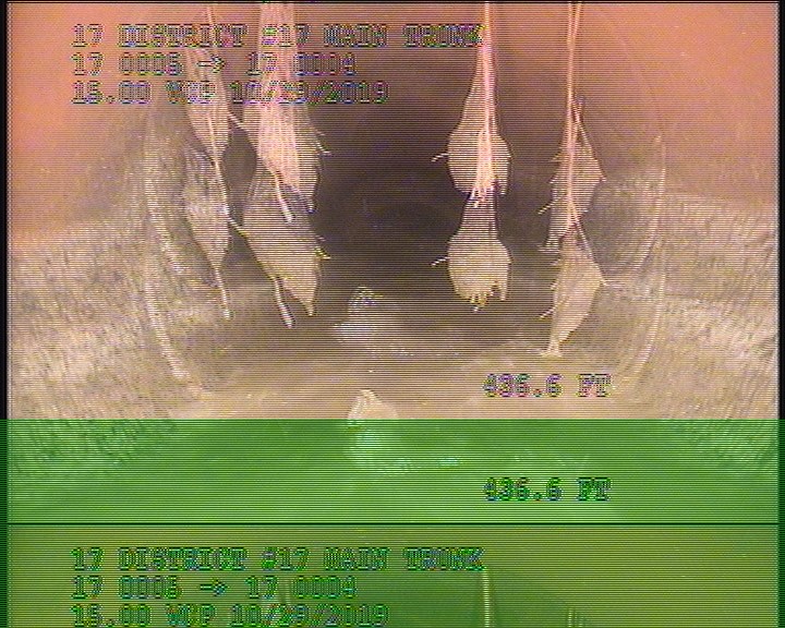 Roots Medium Joint, from 08 to 04 o'clock, 15 %, within 8 inches of joint: YESR