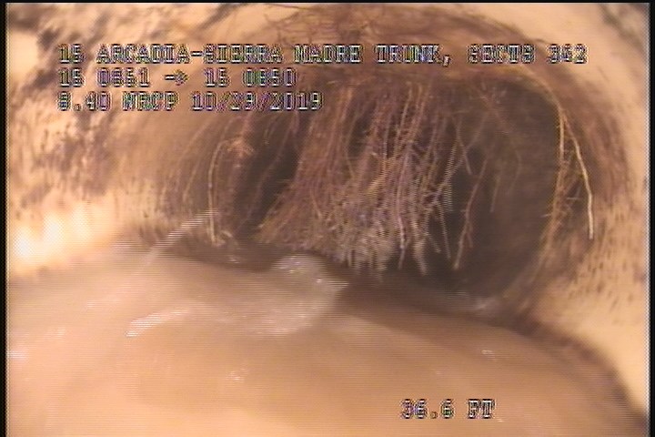 Roots Medium Connection, from 11 to 02 o'clock, 15 %, within 8 inches of joint: NO