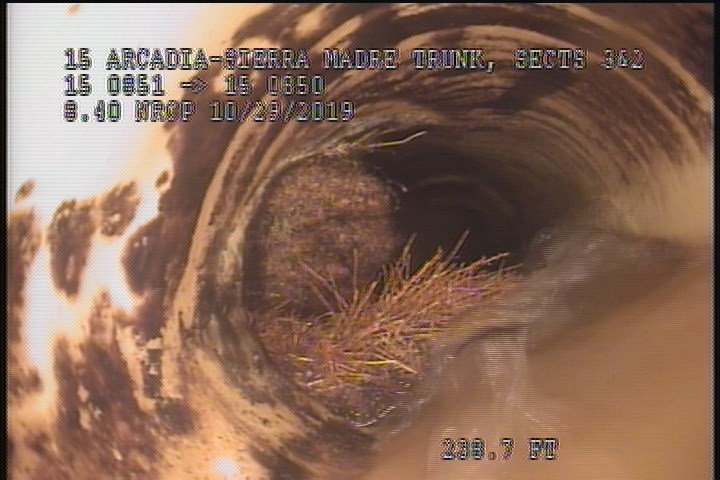 Roots Medium Connection, from 08 to 12 o'clock, 35 %, within 8 inches of joint: NO
