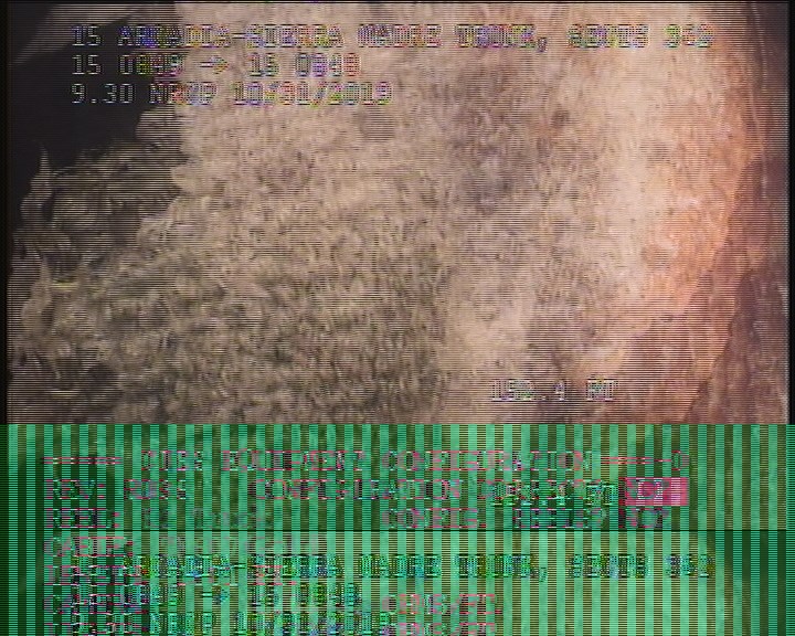 General Photograph - 20% BLOCKAGE INTRUDING