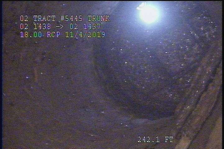 General Observation - ROACHES IN DS MH