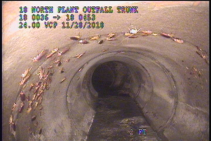 General Observation - 24" VCP