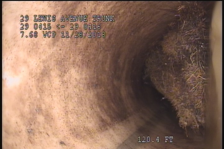Roots Fine Barrell, at 02 o'clock, within 8 inches of joint: YES - 75% ROOTS