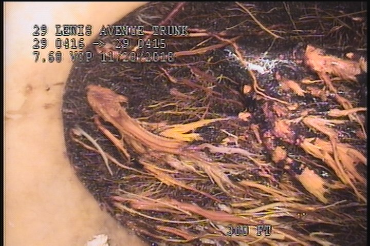 Tap Factory Made Active, at 10 o'clock, -, within 8 inches of joint: YES, 4" - 100% ROOTS LATERAL