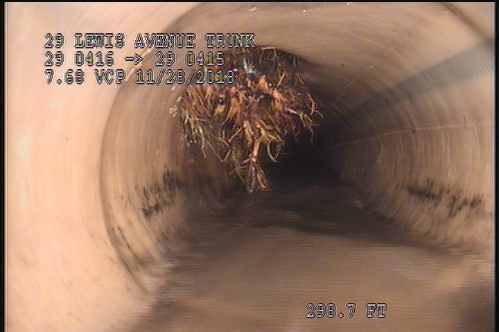 Roots Fine Connection, at 10 o'clock, within 8 inches of joint: YES - 15% ROOTS