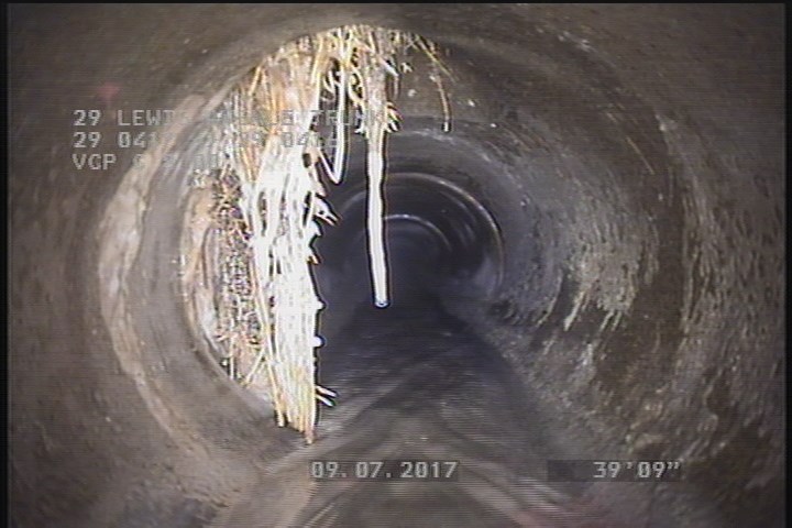Roots Medium Lateral, from 08 to 12 o'clock, 25 %, within 8 inches of joint: YES