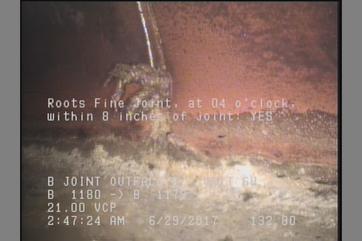 Roots Fine Joint, at 04 o'clock, within 8 inches of joint: YES
