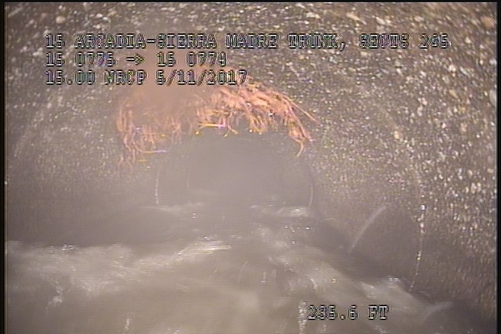 Roots Fine Barrell, at 12 o'clock, within 8 inches of joint: YES - 25%
