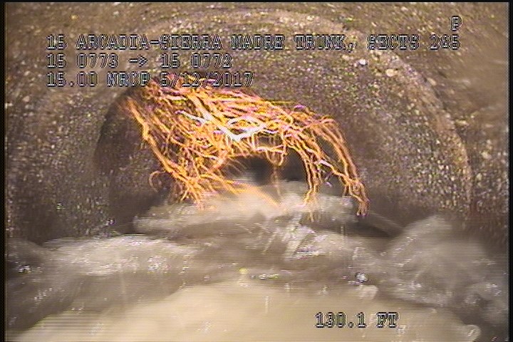 Upstream Manhole, Survey Begins - 9:25 AM
