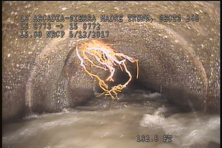 Roots Medium Lateral, from 11 to 04 o'clock, 10 %, within 8 inches of joint: NO