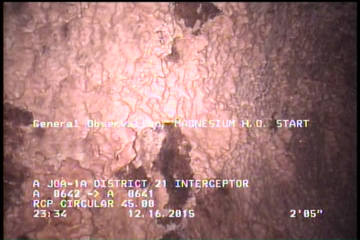 General Observation - MAGNESIUM H.O. START