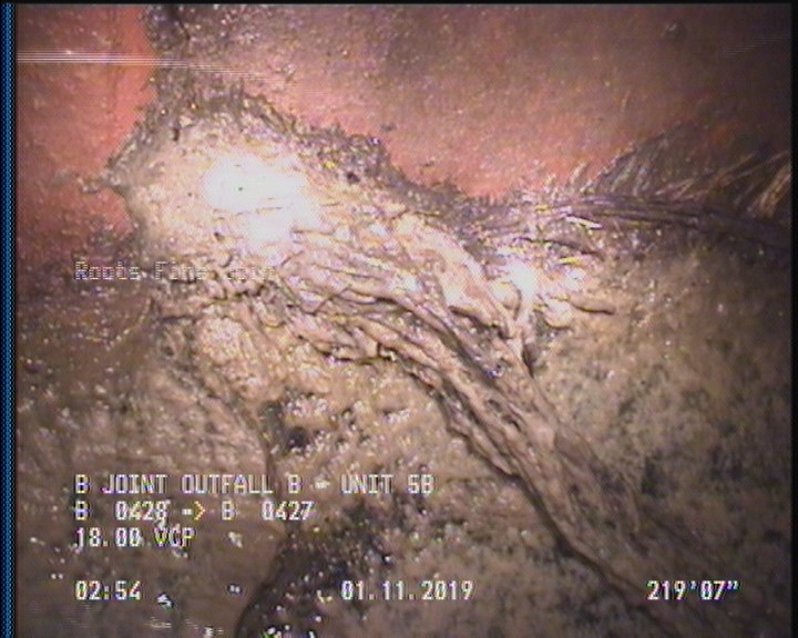 Roots Fine Joint, at 09 o'clock, within 8 inches of joint: YESR
