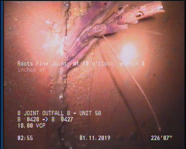 Roots Fine Joint, at 10 o'clock, within 8 inches of joint: YESR