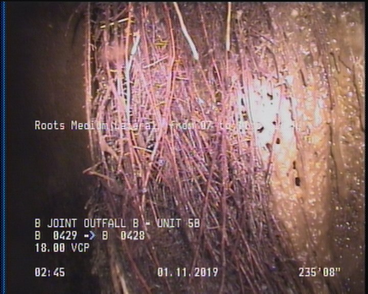 Roots Medium Lateral, from 07 to 11 o'clock, 15 %, within 8 inches of joint: YES