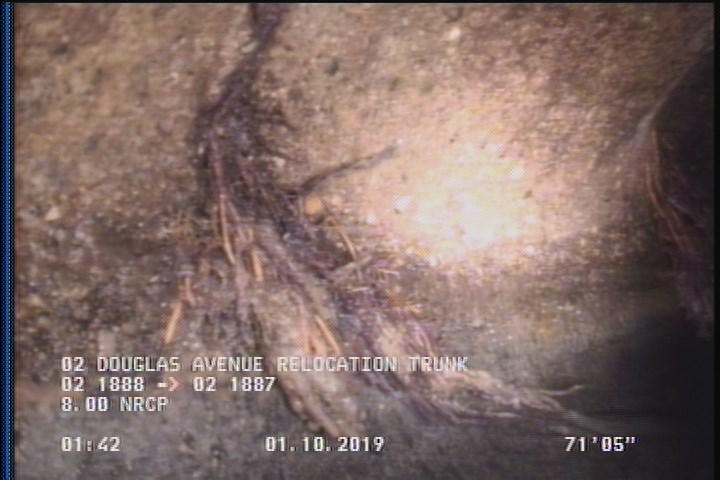 Roots Fine Joint, from 08 to 04 o'clock, within 8 inches of joint: YESR, Start