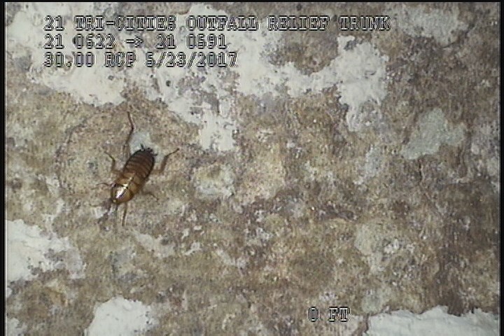 Surface Spalling, from 08 to 04 o'clock, within 8 inches of joint: YES, Start - BLISTERING,FLAKING CONCRETE UNDER MAG COAT