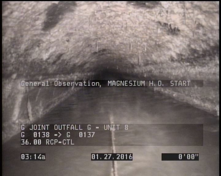 General Observation - MAGNESIUM H.O. START