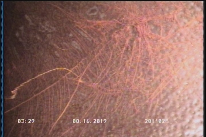 Roots Fine Barrell, from 10 to 02 o'clock