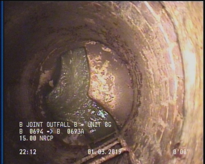 General Observation - COCKROACHES IN MANHOLE