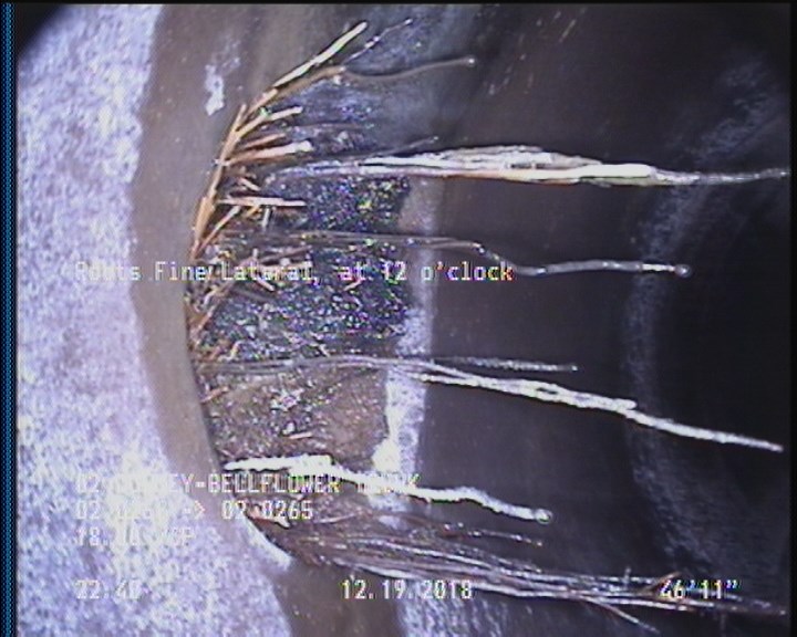 Tap Factory Made Active, at 12 o'clock, -, within 8 inches of joint: NO, 6", 6"