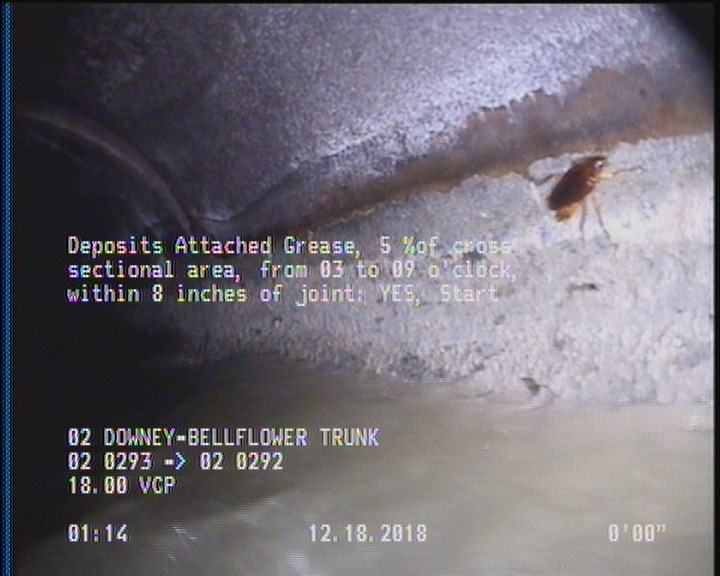 Deposits Attached Grease, 5 %of cross sectional area, from 03 to 09 o'clock, , within 8 inches of joint: YES, Start