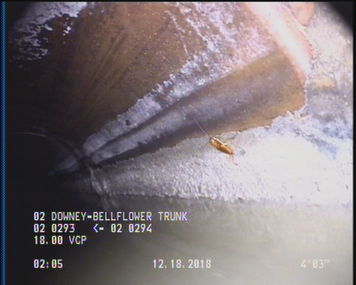 Deposits Attached Grease, 5 %of cross sectional area, from 03 to 09 o'clock, , within 8 inches of joint: YES, Start