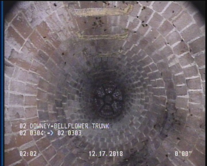 General Observation - COCKROACHES IN MANHOLE