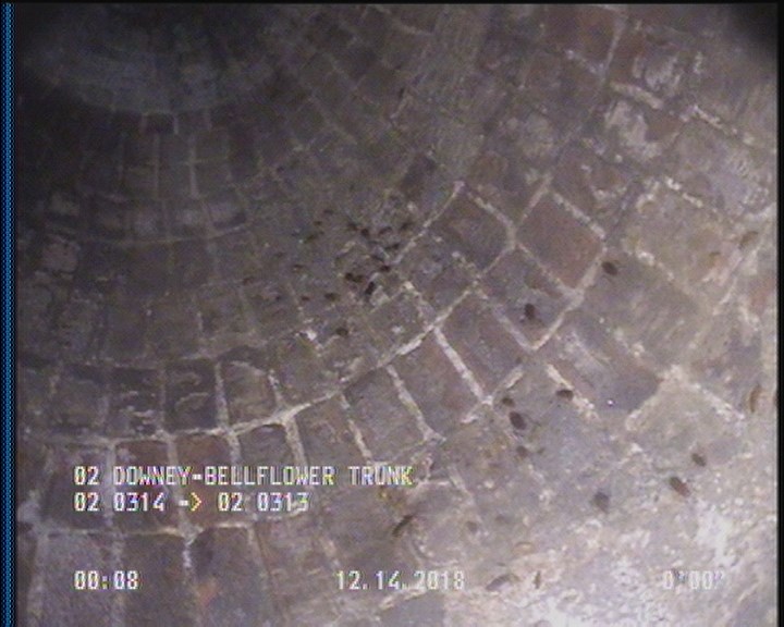 General Observation - COCKROACHES IN MANHOLE