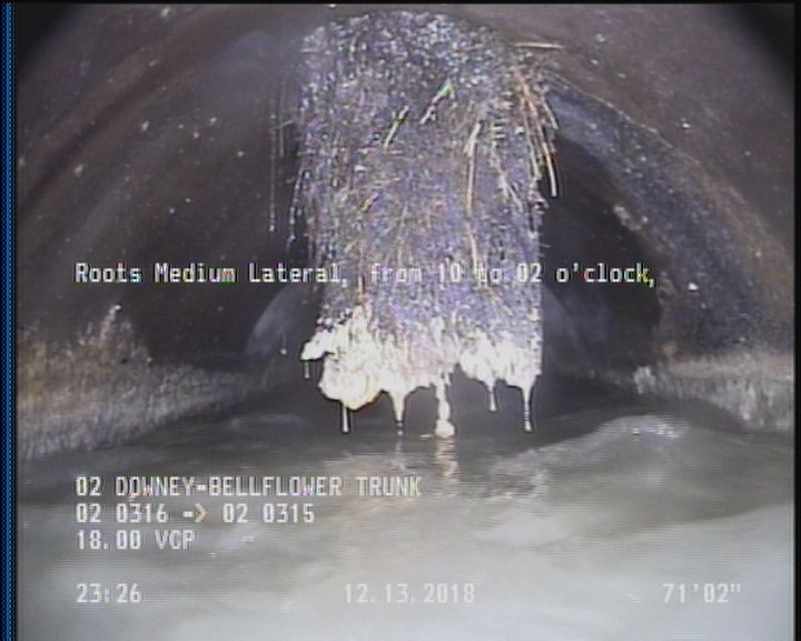 Roots Medium Lateral, from 10 to 02 o'clock, 20 %, within 8 inches of joint: NO