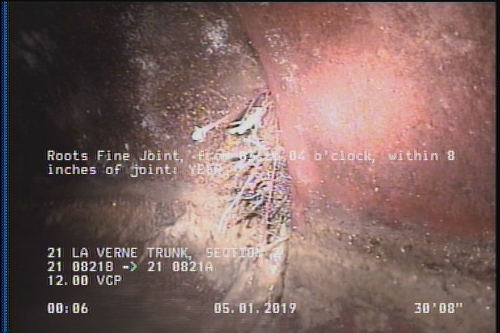 Roots Fine Joint, from 03 to 04 o'clock, within 8 inches of joint: YESR