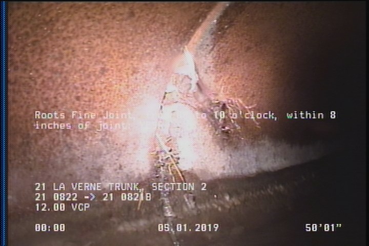 Roots Fine Joint, from 08 to 10 o'clock, within 8 inches of joint: YESR