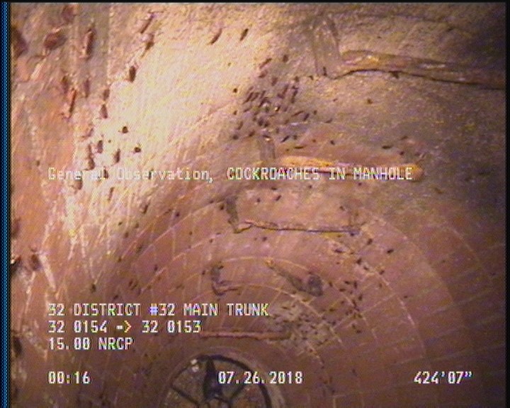 General Observation - COCKROACHES IN MANHOLE