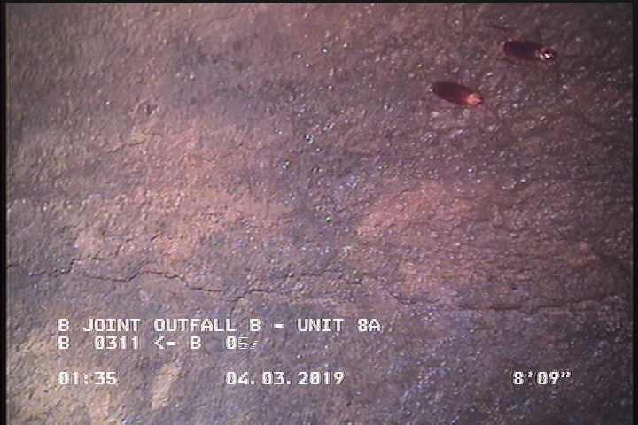 Surface Aggregate Projecting, from 08 to 04 o'clock, within 8 inches of joint: YES, Start