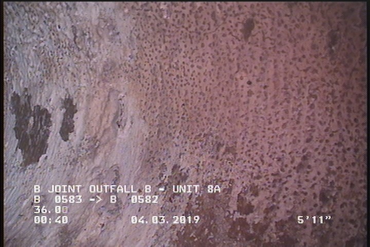 General Observation - MAG COAT THROUGHOUT START