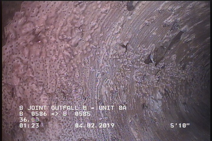 General Observation - MAG COAT