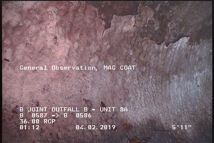 General Observation - MAG COAT