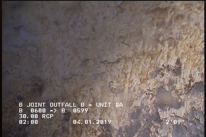 General Observation - MAG COAT