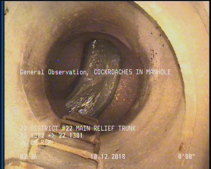 General Observation - COCKROACHES IN MANHOLE