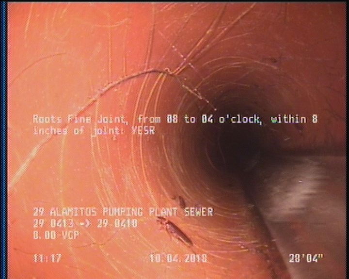 Roots Fine Joint, from 08 to 04 o'clock, within 8 inches of joint: YESR