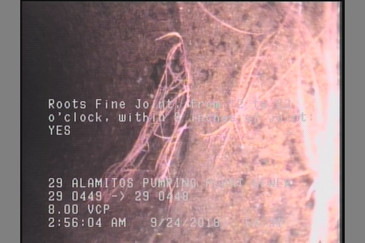 Roots Fine Joint, from 12 to 03 o'clock, within 8 inches of joint: YES