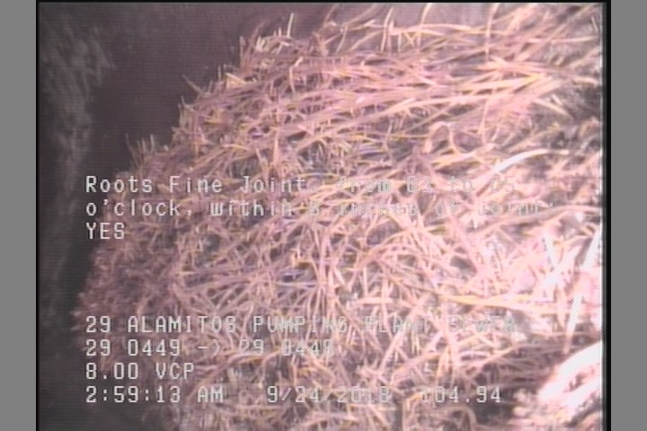 Roots Fine Joint, from 03 to 05 o'clock, within 8 inches of joint: YES