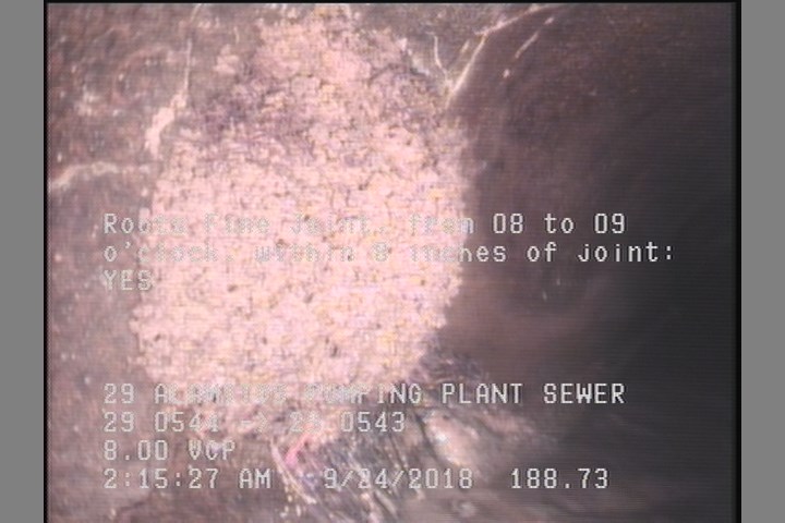 Roots Fine Joint, from 08 to 09 o'clock, within 8 inches of joint: YES