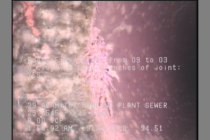 Roots Fine Joint, from 09 to 03 o'clock, within 8 inches of joint: YES