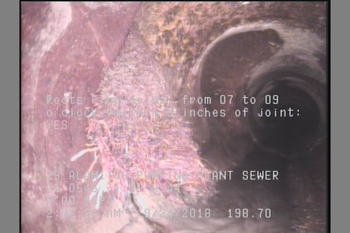 Roots Fine Joint, from 07 to 09 o'clock, within 8 inches of joint: YES
