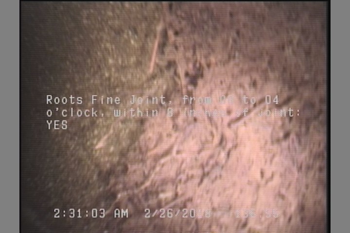 Roots Fine Joint, from 08 to 04 o'clock, within 8 inches of joint: YES