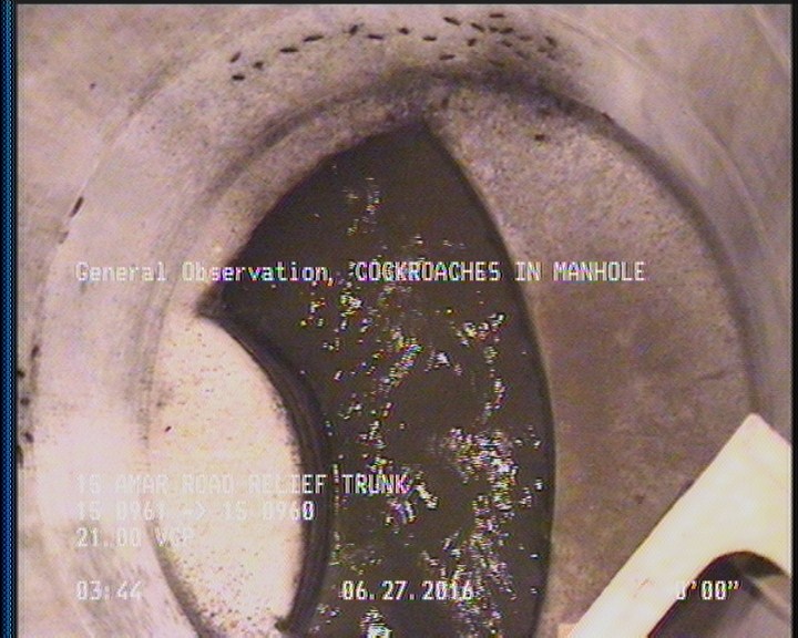 General Observation - COCKROACHES IN MANHOLE