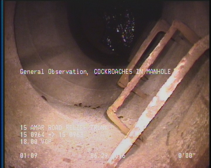 General Observation - COCKROACHES IN MANHOLE