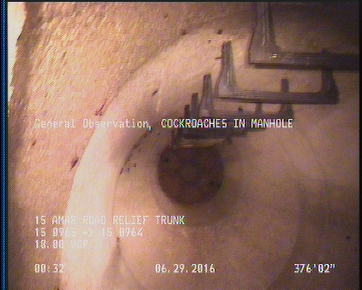 General Observation - COCKROACHES IN MANHOLE