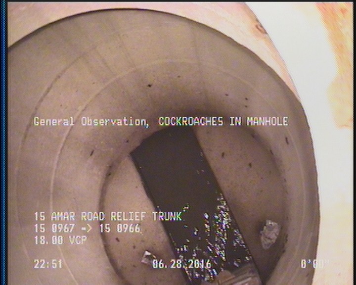General Observation - COCKROACHES IN MANHOLE